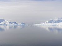 Baia Paradiso, Antartide