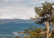 Terra del Fuoco, Argentina