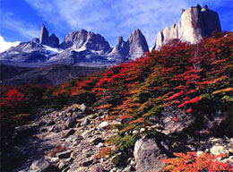 Colori autunnali a Torres del Paine, Patagonia cilena