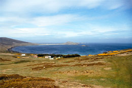Insediamento di Carcass, Isole Falkland
