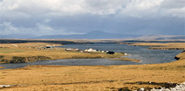 Paesaggio di East Falkland, Isole Falkland