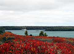 Paesaggio di South Plaza, Isole Galapagos